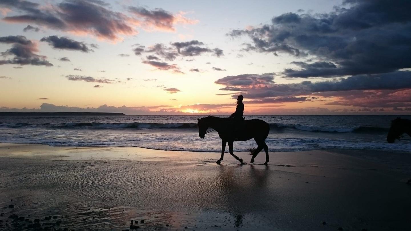 Vacanza a metà prezzo per salvare 60 cavalli 