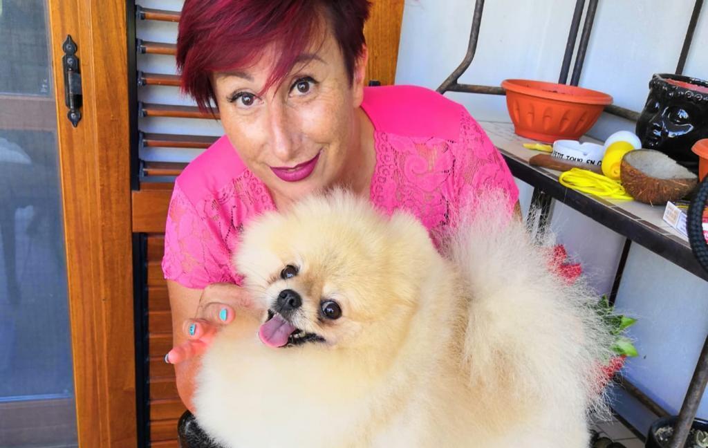 Cani senza cure, l’appello dei toelettatori 