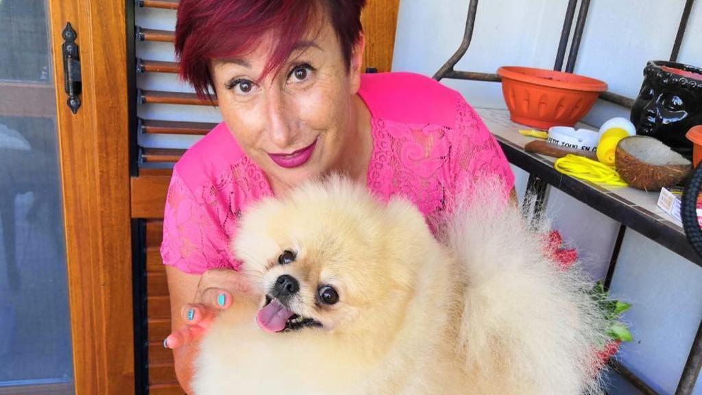 Cani senza cure, l’appello dei toelettatori