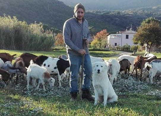 A Campo nell'Elba apre il mini caseificio nei giorni del Covid-19 
