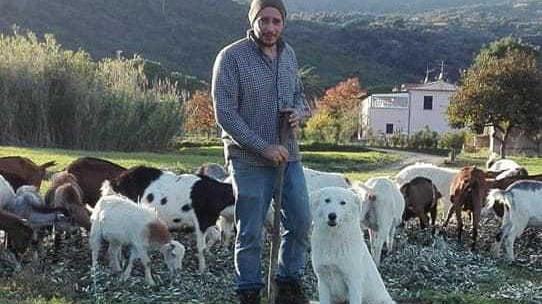 A Campo nell'Elba apre il mini caseificio nei giorni del Covid-19