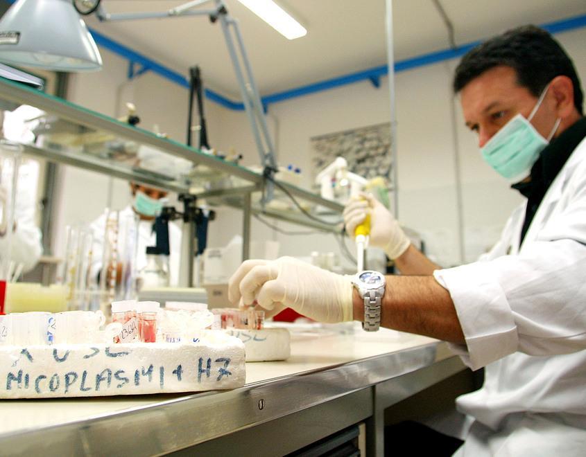 È già scattata la corsa al test sierologico: sommersi di richieste i due laboratori 