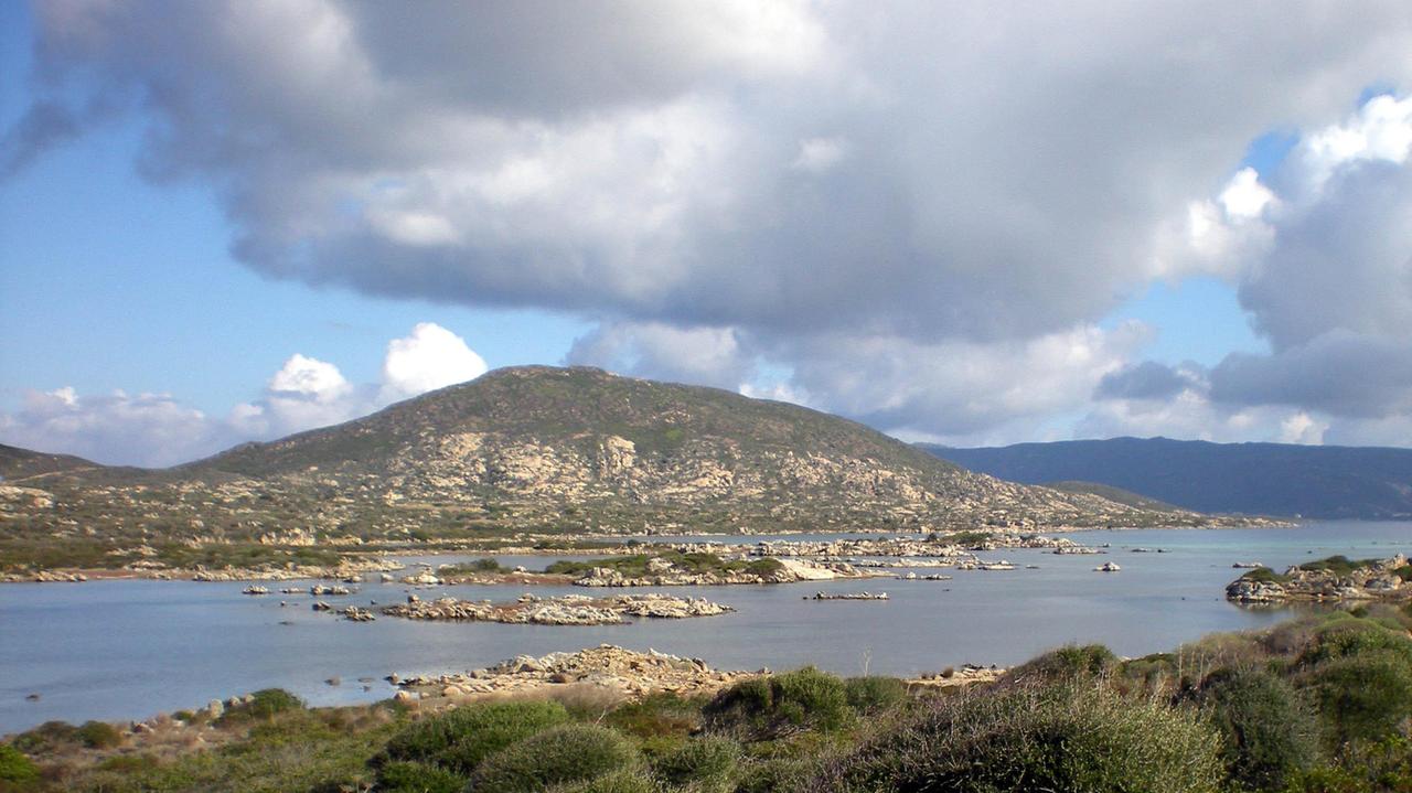Spiagge chiuse per il lockdown: all'Asinara si studiano gli effetti positivi sulle biodiversità