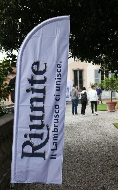 Il lambrusco che ha conquistato il mondo