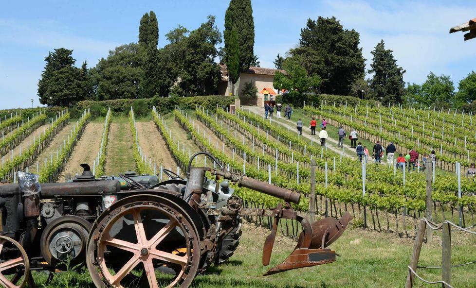 La zona de Le Serre a Peccioli (Foto Franco Silvi)