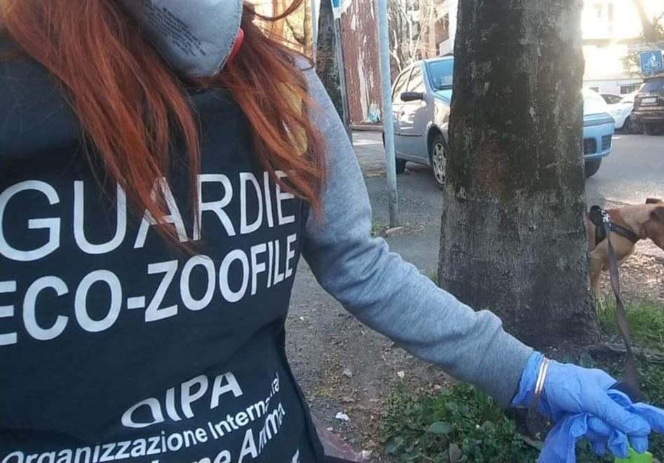 Modena. Giusi e gli “angeli” che salvano i cani dalla quarantena 