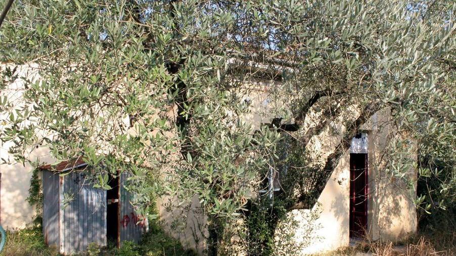 In vendita una scuola e un appartamento in centro a Camaiore