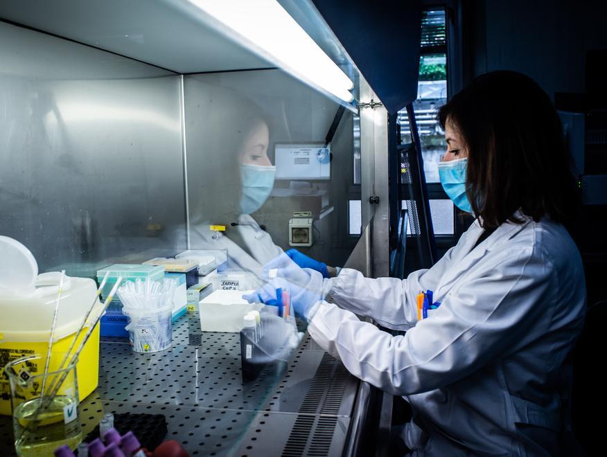 Test sierologici nei laboratori privati Non potranno essere fatti a pagamento 
