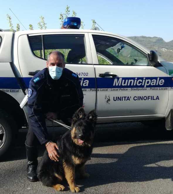 Salvato dagli agenti cucciolo di cane lupo