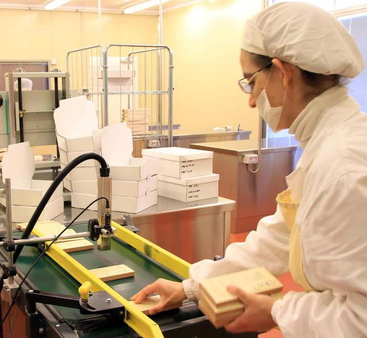 La Camera di commercio: «Le piccole imprese rischiano il collasso» 