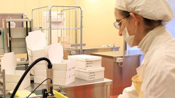 La Camera di commercio: «Le piccole imprese rischiano il collasso»