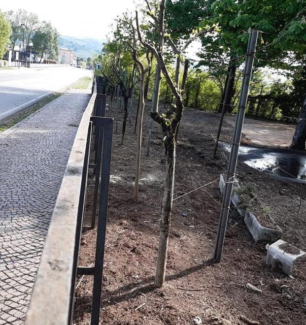 L’area dell’ex “ballo” sistemata e ripulita «Conserviamola così» 