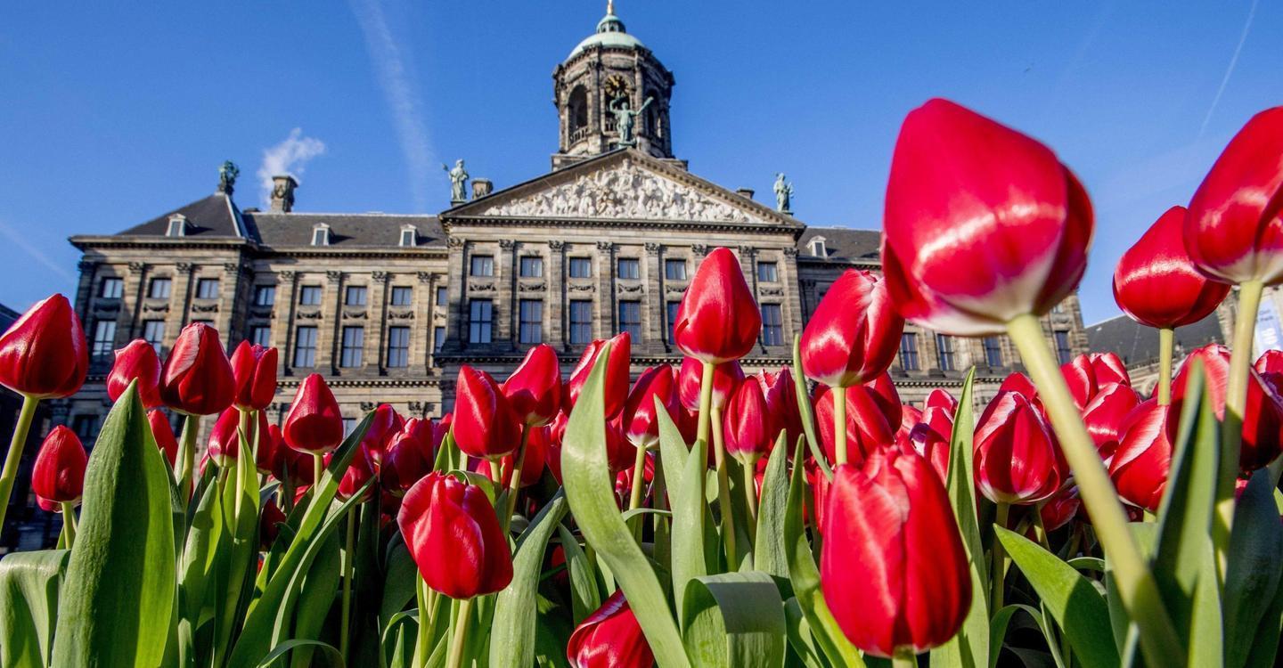 Sarda orgogliosa nell’algida Olanda 