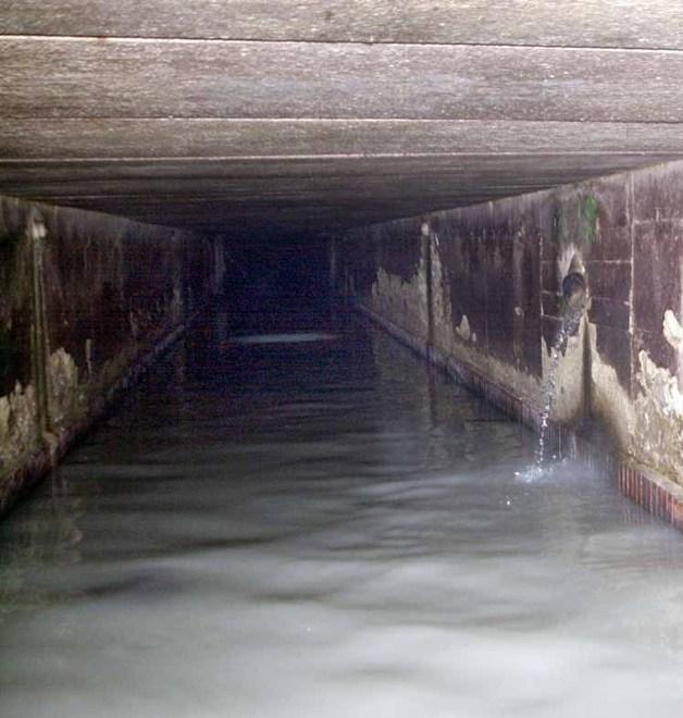 Tracce del virus nelle fogne Analisi Hera anche a Modena