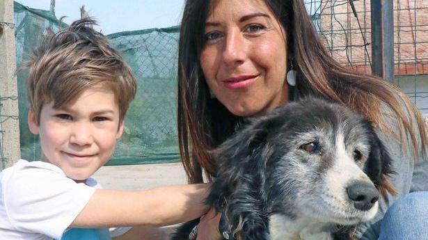 Coccanile, la sponda cede e il cane cade nel canale: salvato in extremis