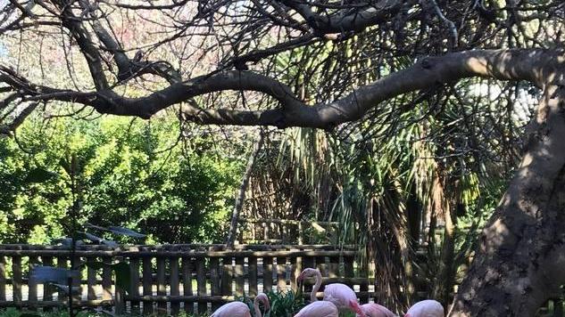 Zoo e fattoria didattica con 1500 esemplari