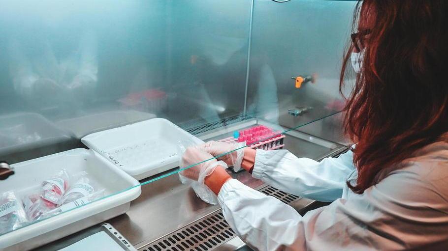 Coronavirus, casi sommersi rintracciabili attraverso il questionario del Cnr