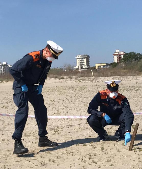 Controlli sulle spiagge per la tutela del fratino 
