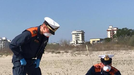 Controlli sulle spiagge per la tutela del fratino