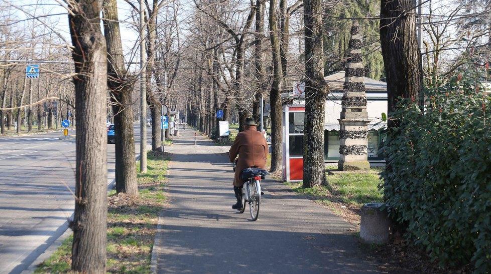 «Quei 75 alberi non verranno abbattuti» 