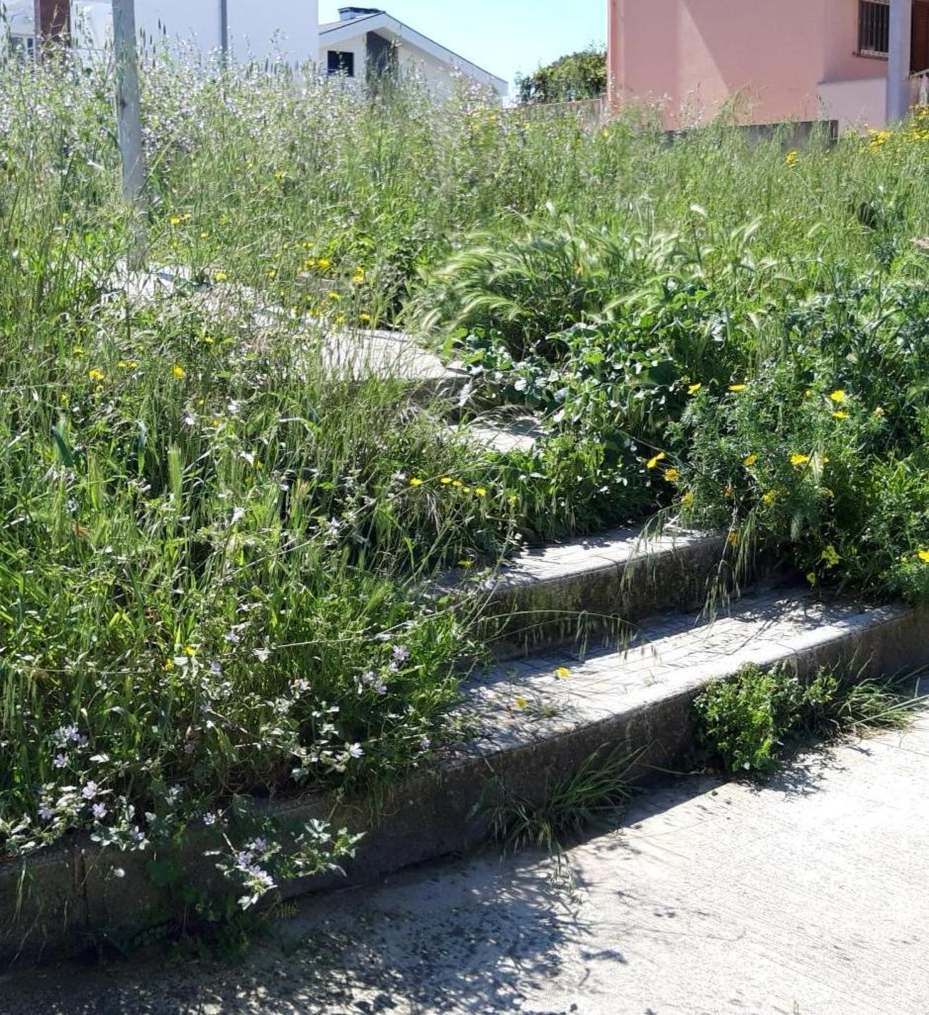 La scalinata di Serra Li Pozzi invasa dalle erbacce