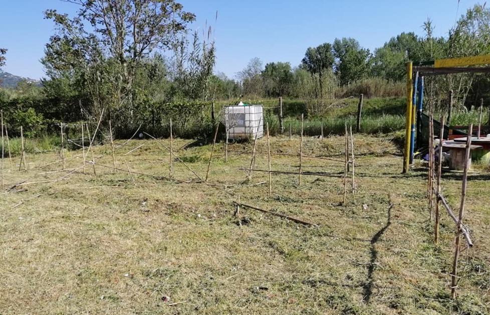 Piantine officinali sparite all’Orto della Legalità 
