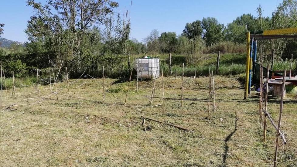 Piantine officinali sparite all’Orto della Legalità