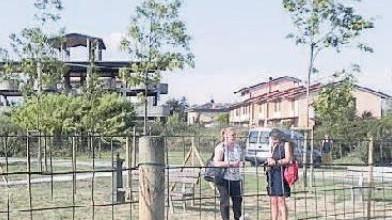 Si torna a correre ai Poggini e a Camugliano