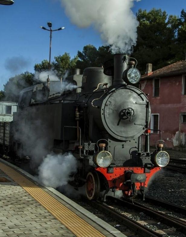 Trenino verde in stand by «Non vogliamo fermarci» 