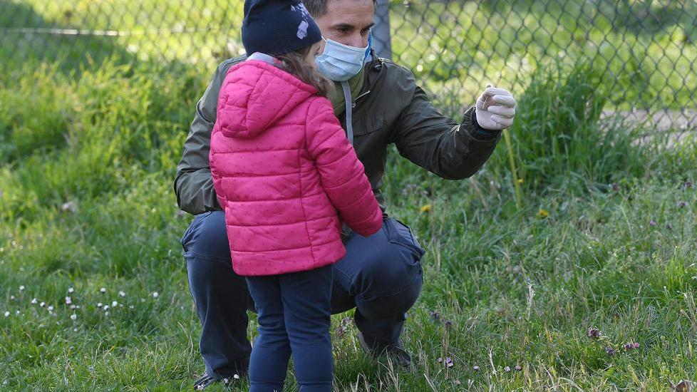 Fase 2, Anci Toscana chiarisce: "Ai parchi accessi non contingentati ma servirà la mascherina"
