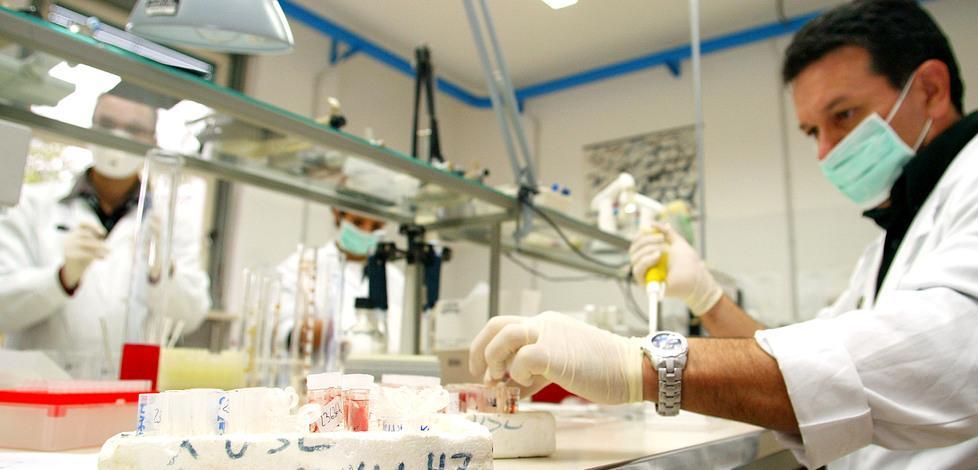 Anche oggi zero contagi e quattro nuovi guariti