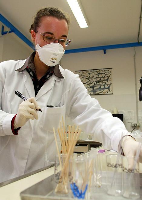 Test sierologici, in Versilia i positivi superano di poco la media regionale 
