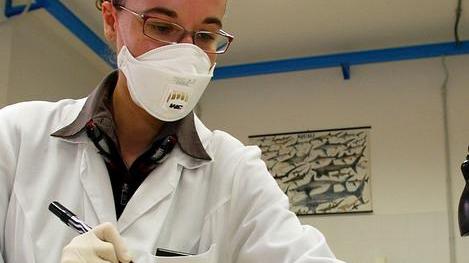 Test sierologici, in Versilia i positivi superano di poco la media regionale