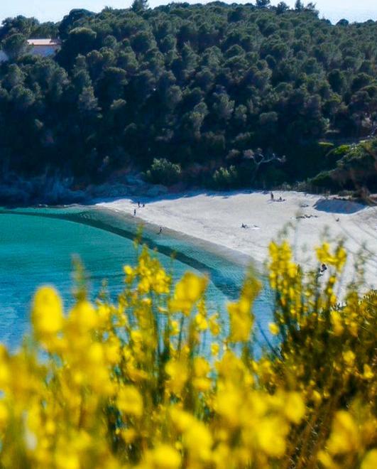 Lo spot di Acqua dell’Elba per il rilancio del turismo 