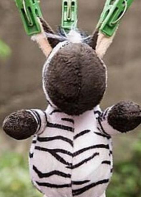 Detergere tutto dai peluche agli auricolari