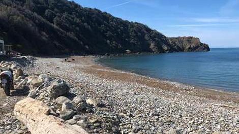 Spiagge riaperte dal primo maggio. Ferrari: «Ma non è un liberi tutti»