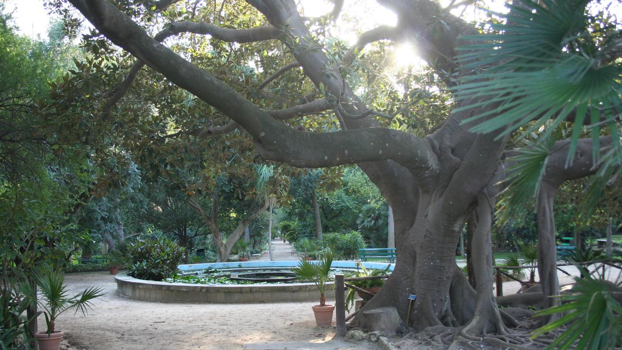 L'Orto botanico di Cagliari