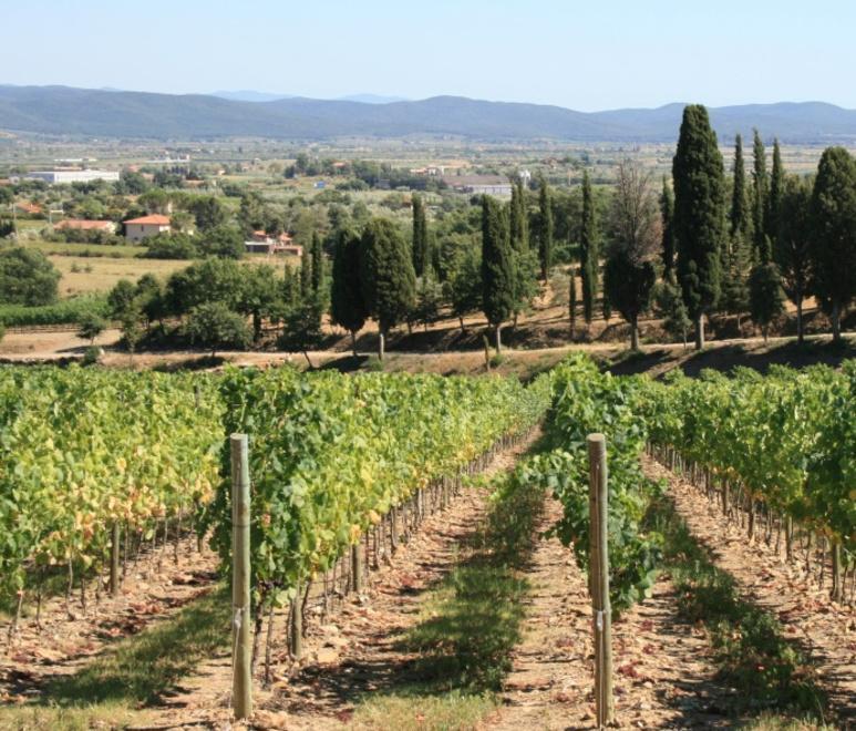 Portale web per vendere prodotti del territorio 