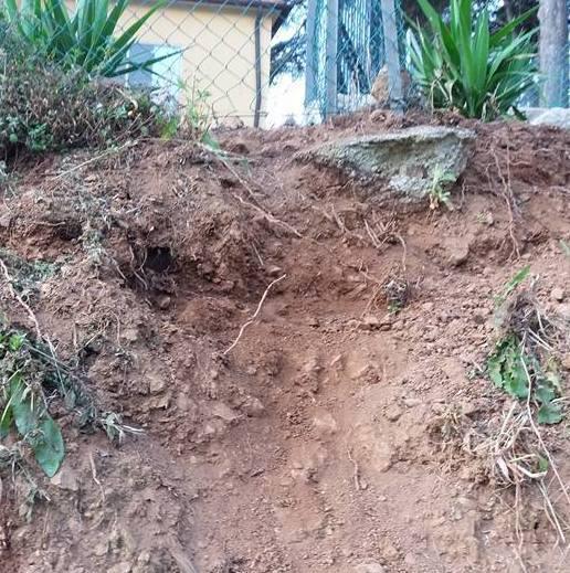 Danni dei cinghiali Il Parco potenzia trappole e punti sparo