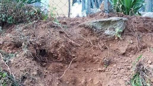Danni dei cinghiali Il Parco potenzia trappole e punti sparo