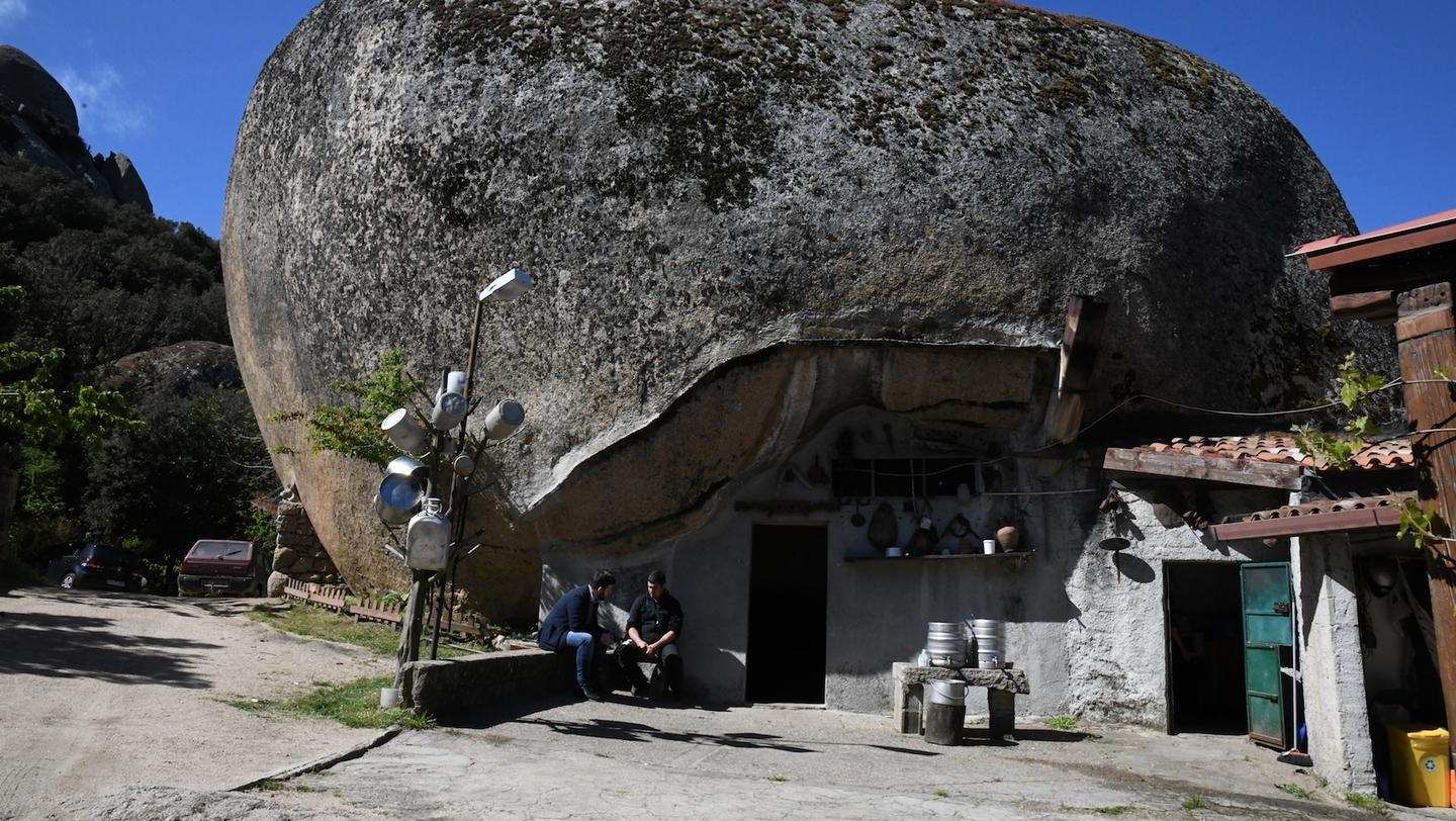 Il paradiso delle capre tra le rocce dell’Ortobene 