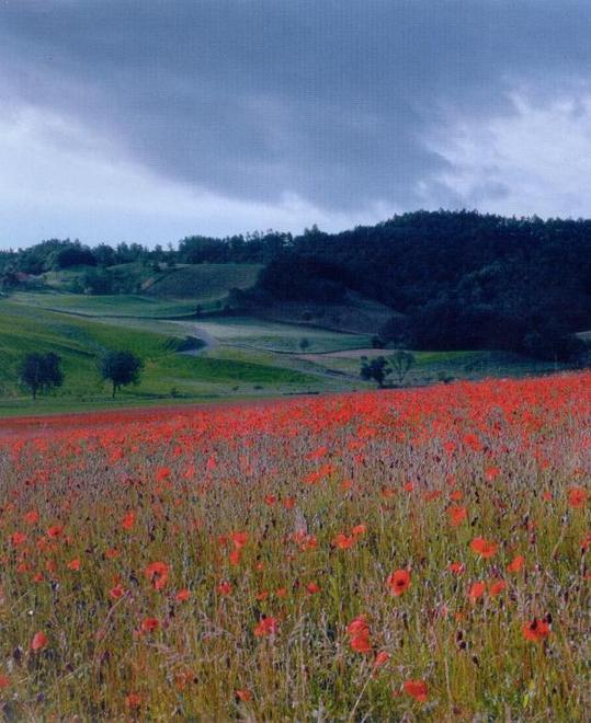 “Riapre” l’Appennino ma occhio alla folla 