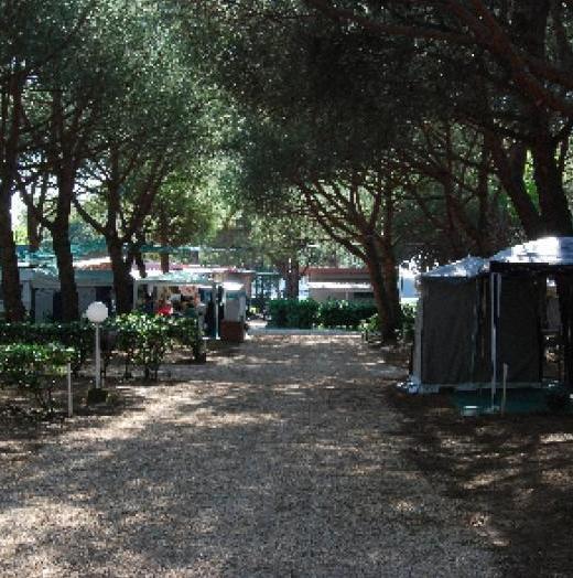 I campeggi studiano la ripartenza: «Bagni e cucine nelle "isole" private» 