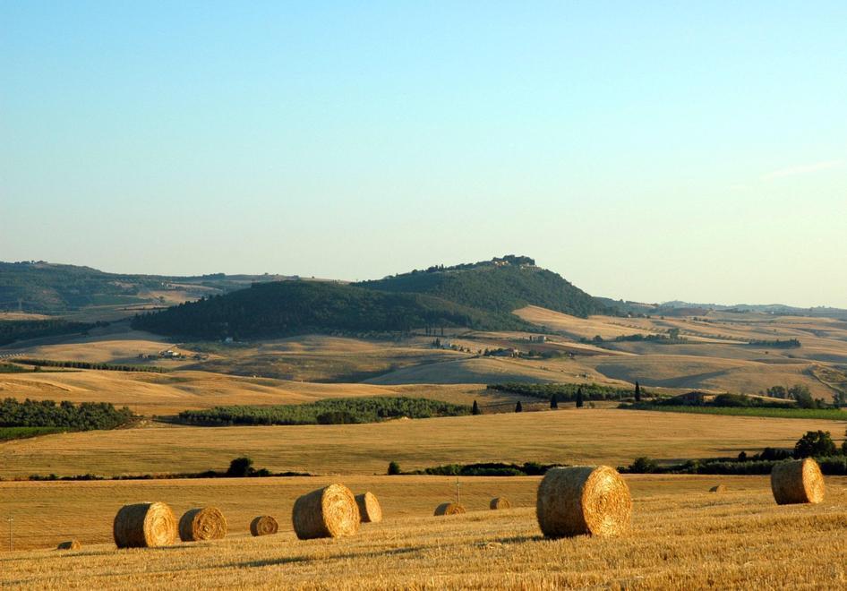  strozzata dai prezzi bassi l’agricoltura chiede aiuto