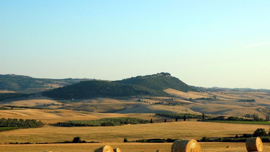 strozzata dai prezzi bassi l’agricoltura chiede aiuto