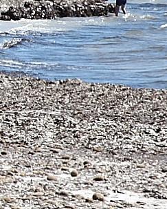 Primo maggio in spiaggia in costume: avvocatessa sanzionata