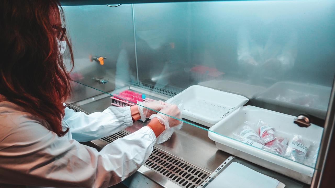 Un laboratorio di analisi (foto Marzi)