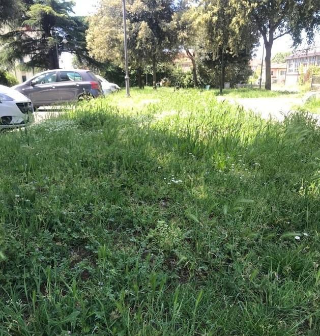 Incuria nel parchetto vicino alla scuola 