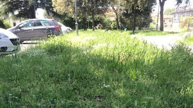 Incuria nel parchetto vicino alla scuola