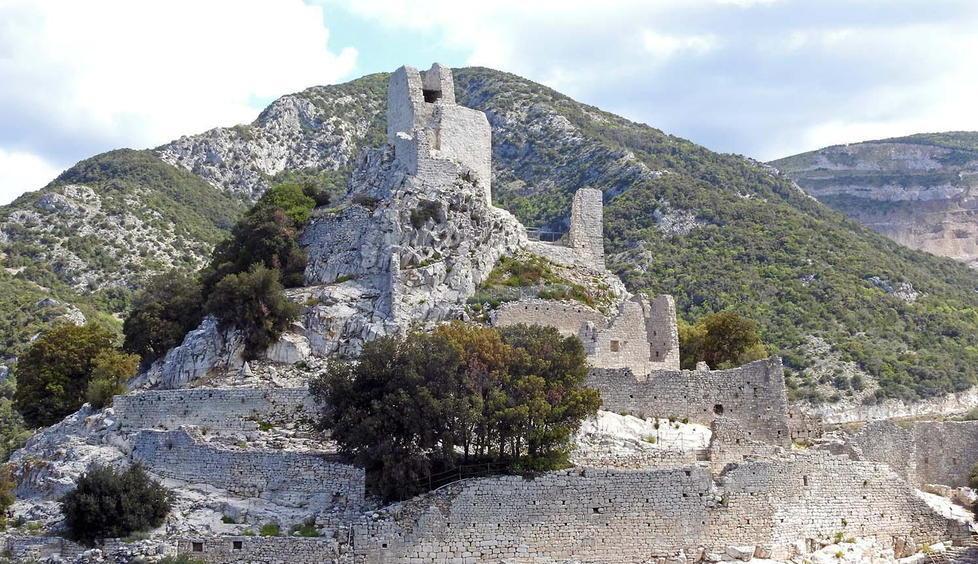 Rubata la fototrappola usata dagli ambientalisti per censire lupi & c.